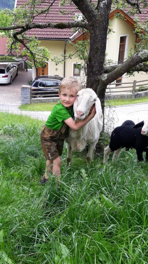 Ferienwohnungen Simonbauer Trebesing Luaran gambar